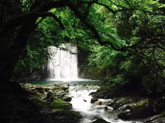 探秘永居身份证能看出出生年月日吗 - 最全面的永居身份证能看出出生年月日吗讨论社区